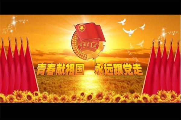 植物地菍是长什么样子的？